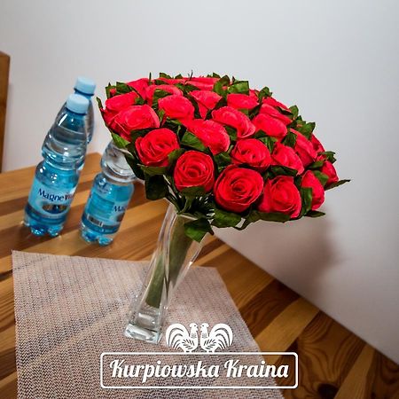 מלון Wydmusy Kurpiowska Kraina מראה חיצוני תמונה